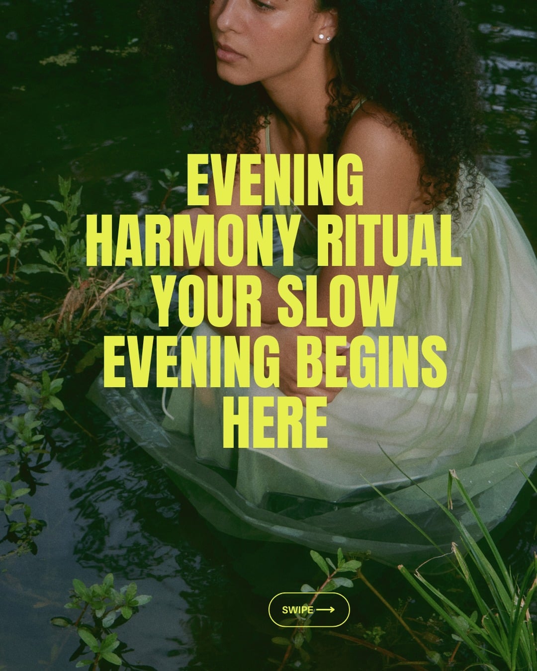 A cup of calm, wrapped in fragrance and warmth.
Our Evening Harmony Ritual Blend celebrates stillness, scent and timeless herbal tradition.